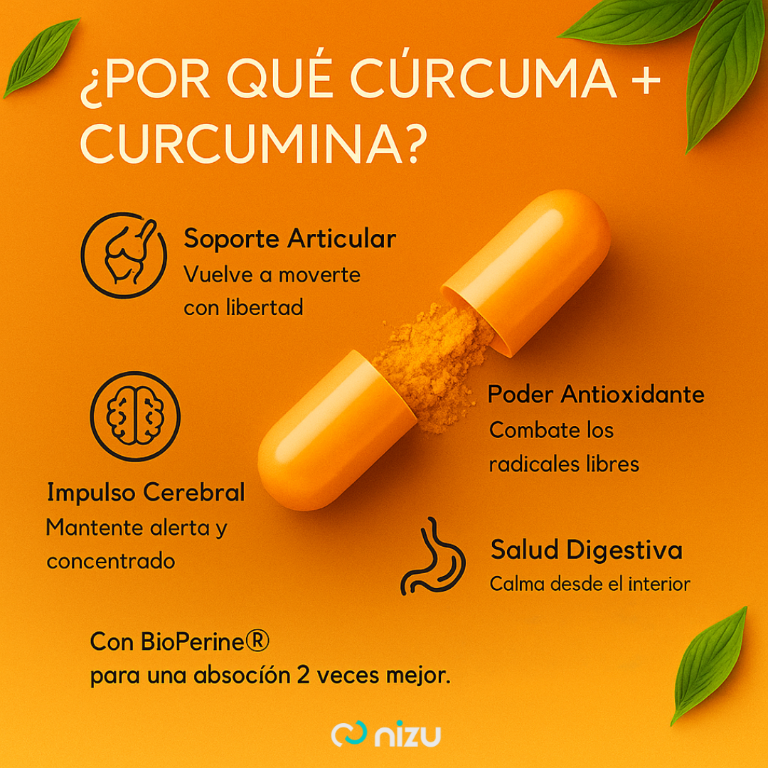 microingredients® | Turmeric Curcumin